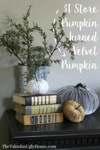 $1 Store Pumpkin Turned Velvet Pumpkin