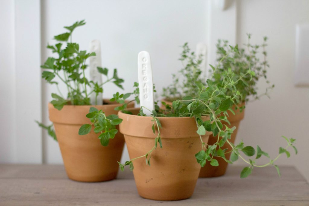Make Your Own Herb Markers How-To