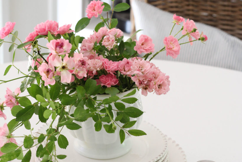 Wicker Chairs For Any Budget