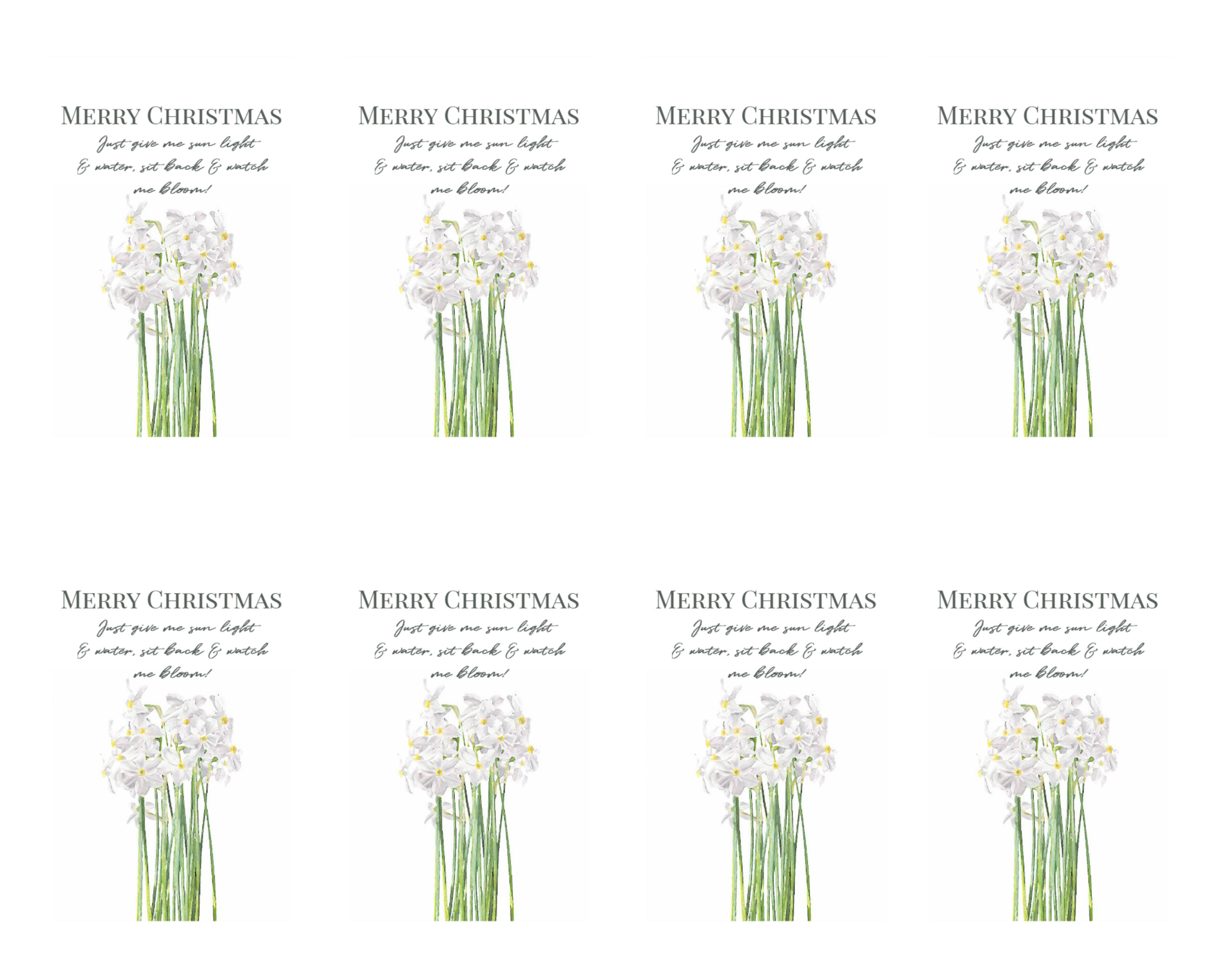 Forcing Paper White Bulbs Printable Gift Tags - Nest of Posies