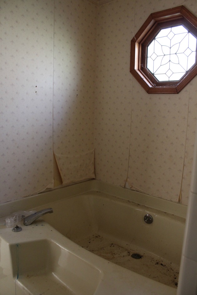 Timeless Bathroom Renovation Plan