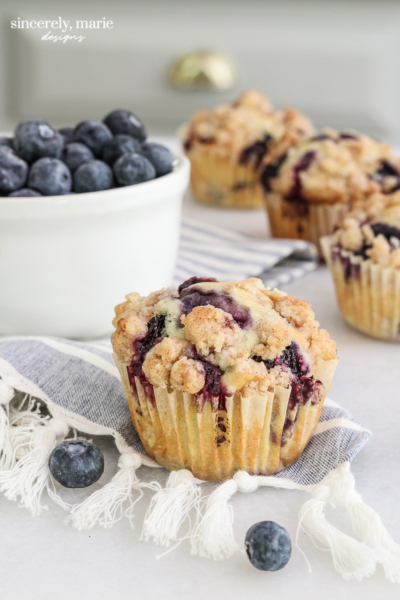 Blueberry Muffin Recipe