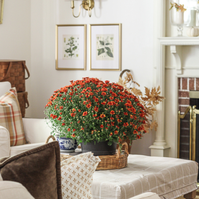 Classic Fall Touches In The Living Room
