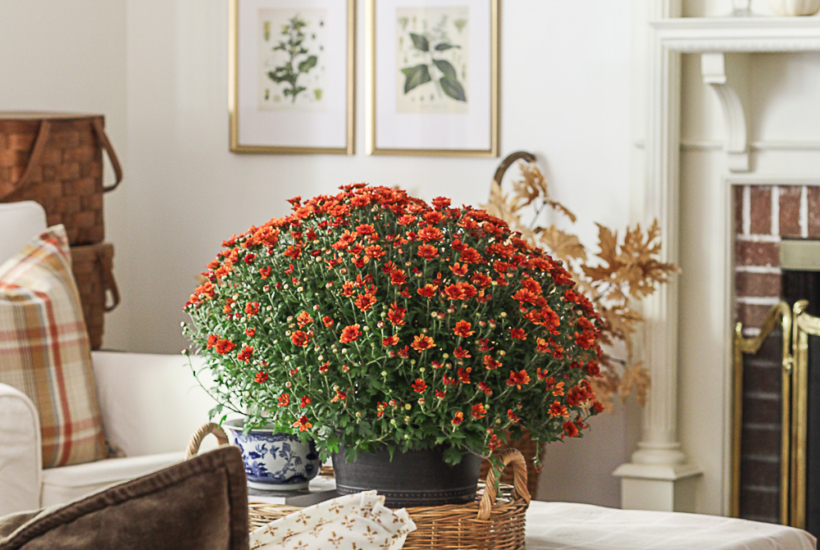 Classic Fall Living Room